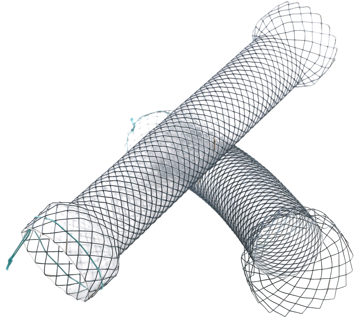 S Pyloric Duodenal Stent